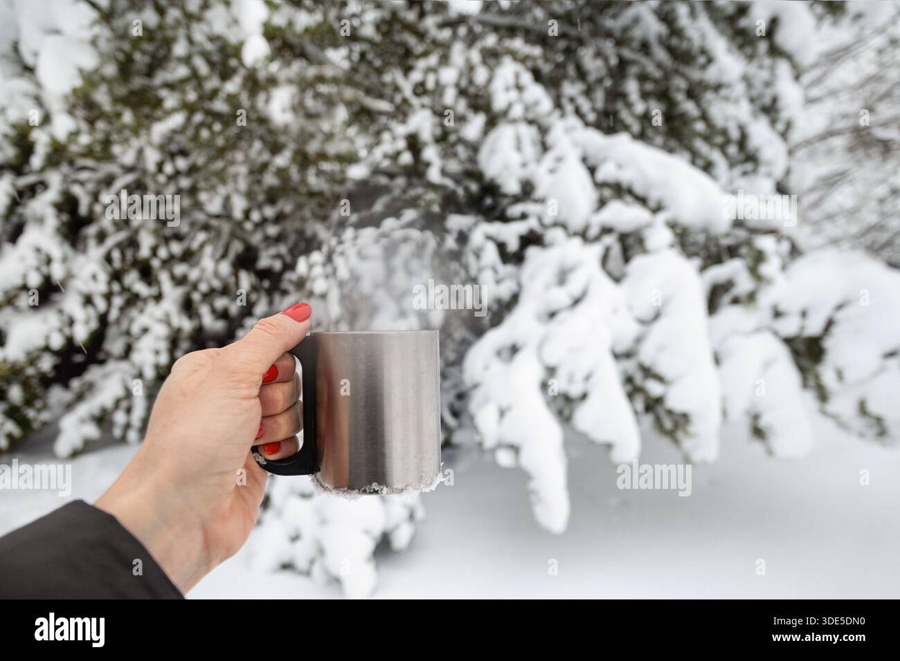 Una femmina tiene in mano una tazza di metallo fumante con bevanda calda nella foresta invernale innevata, simboleggia calore, comfort, relax e un accogliente stile di vita all'aperto in co Foto Stock