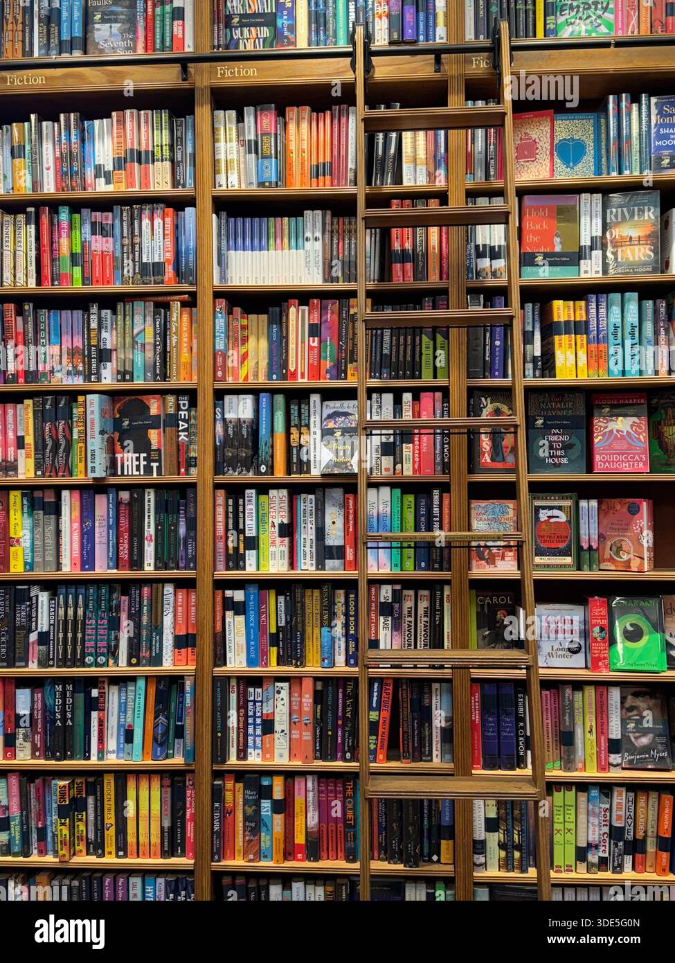Alta libreria in legno piena di libri di finzione colorati in un'accogliente libreria, con accesso scalabile agli scaffali superiori. - Immagine stock catturata con smartphone