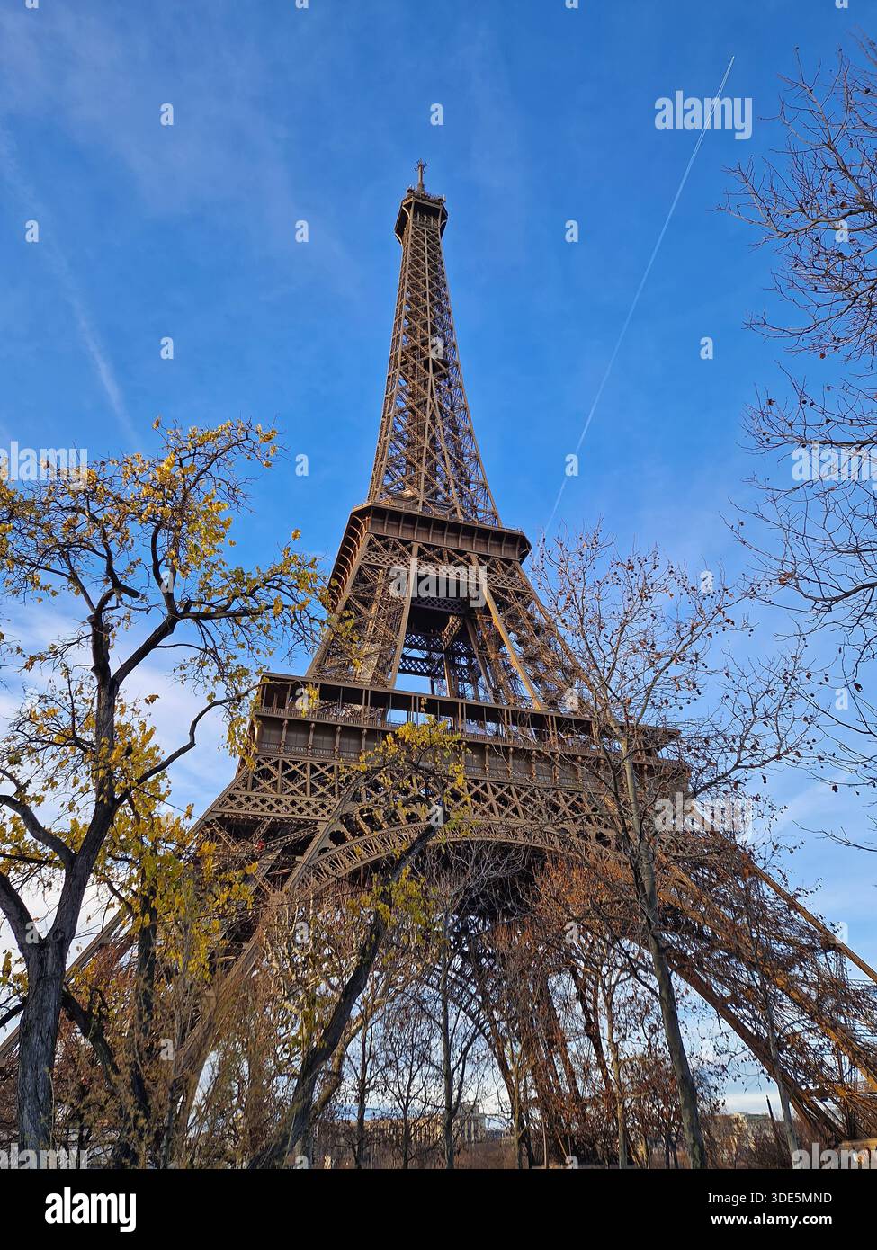 Vista della Torre Eiffel da dietro gli alberi autunnali su un cielo azzurro. L'iconica struttura in ferro enfatizza la sua massiccia scala e l'intricato reticolo des Foto Stock