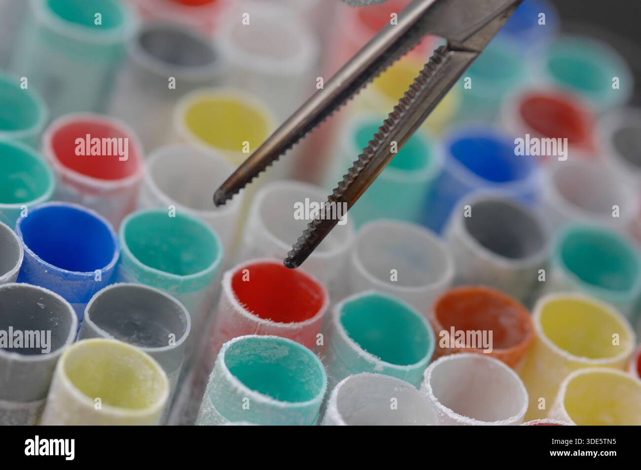 Spermatozoi ed embrioni congelati da utilizzare nella fecondazione in vitro Foto Stock