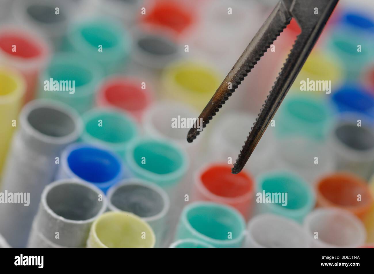 Spermatozoi ed embrioni congelati da utilizzare nella fecondazione in vitro Foto Stock