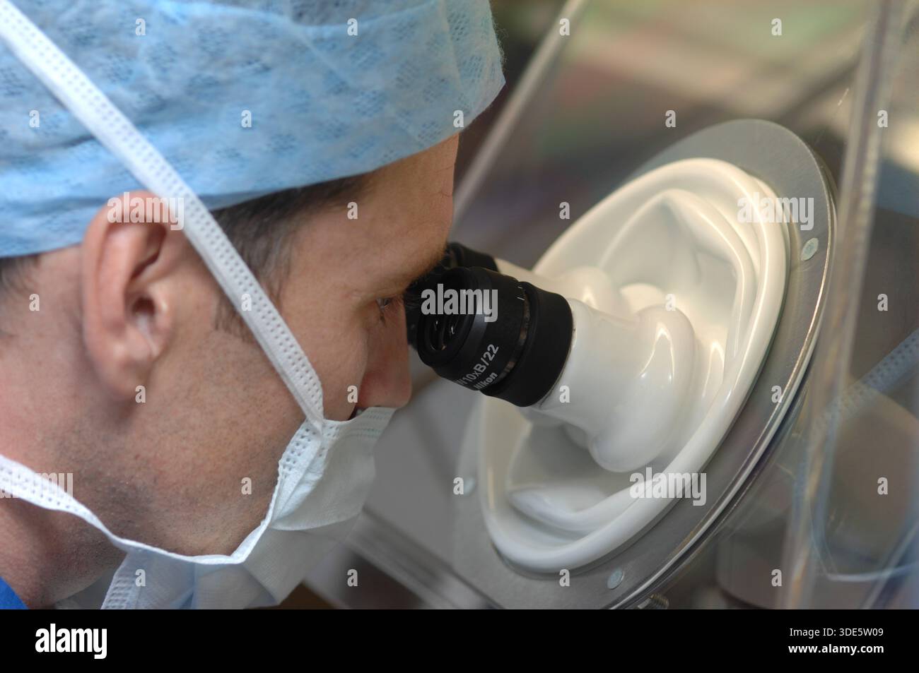 Un medico della fecondazione in vitro che lavora con spermatozoi ed emryos per la fecondazione in vitro (IVF) e l'assitanza delle gravidanze. Foto Stock