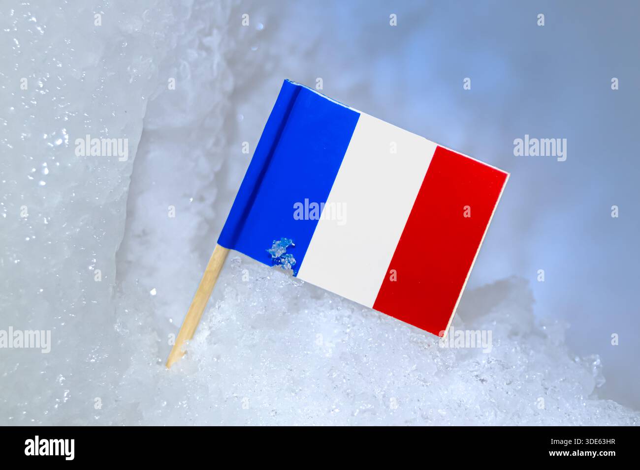 Bandiera nazionale francese nella neve invernale. Metafora visiva del turismo alpino, della sicurezza energetica e dei modelli di cambiamento climatico in Francia e in Europa occidentale. Foto Stock