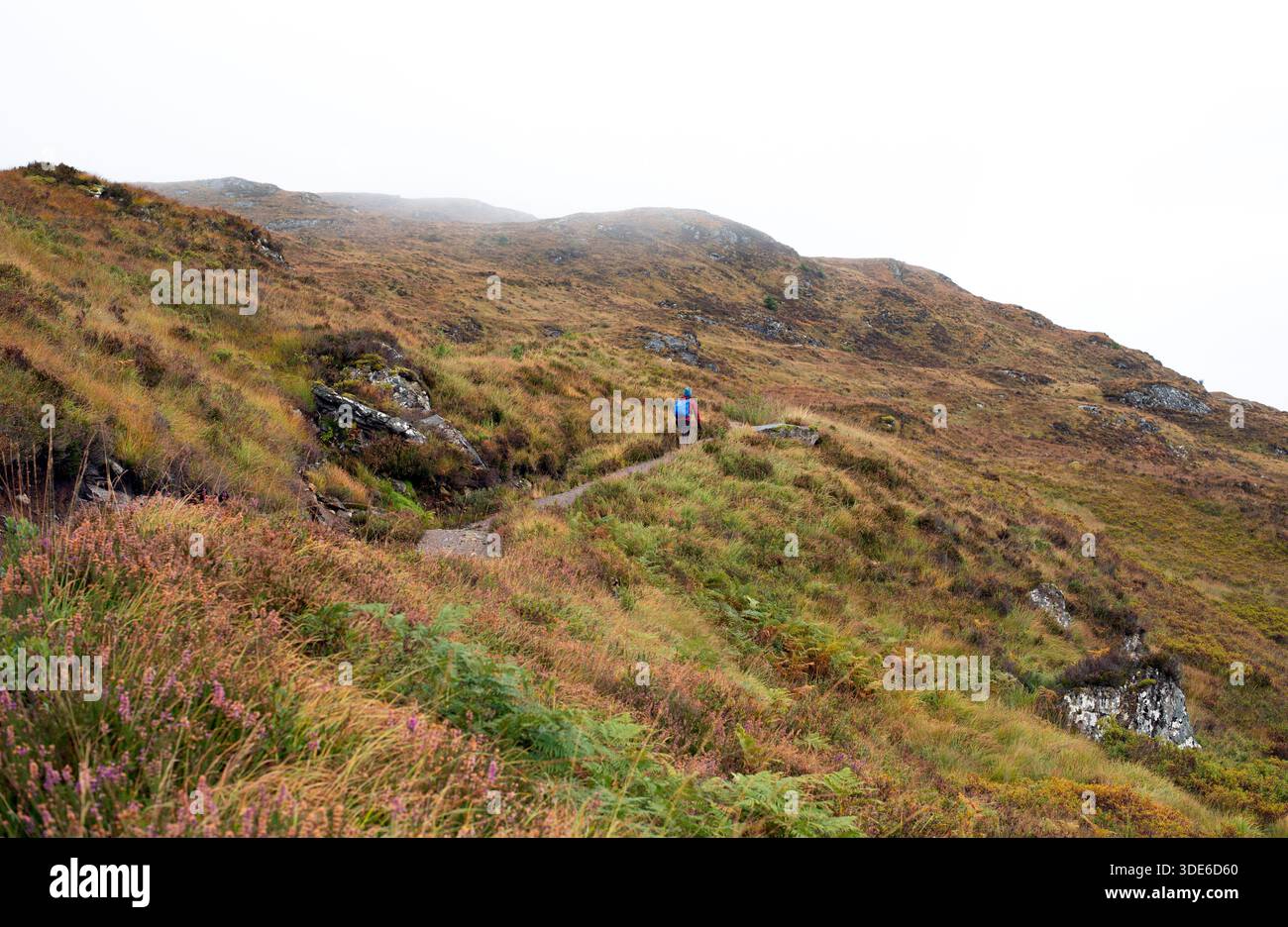 Piccola figura da backpacker che sale su un vasto sentiero curvilineo nella natura selvaggia scozzese in una nebbiosa giornata autunnale Foto Stock