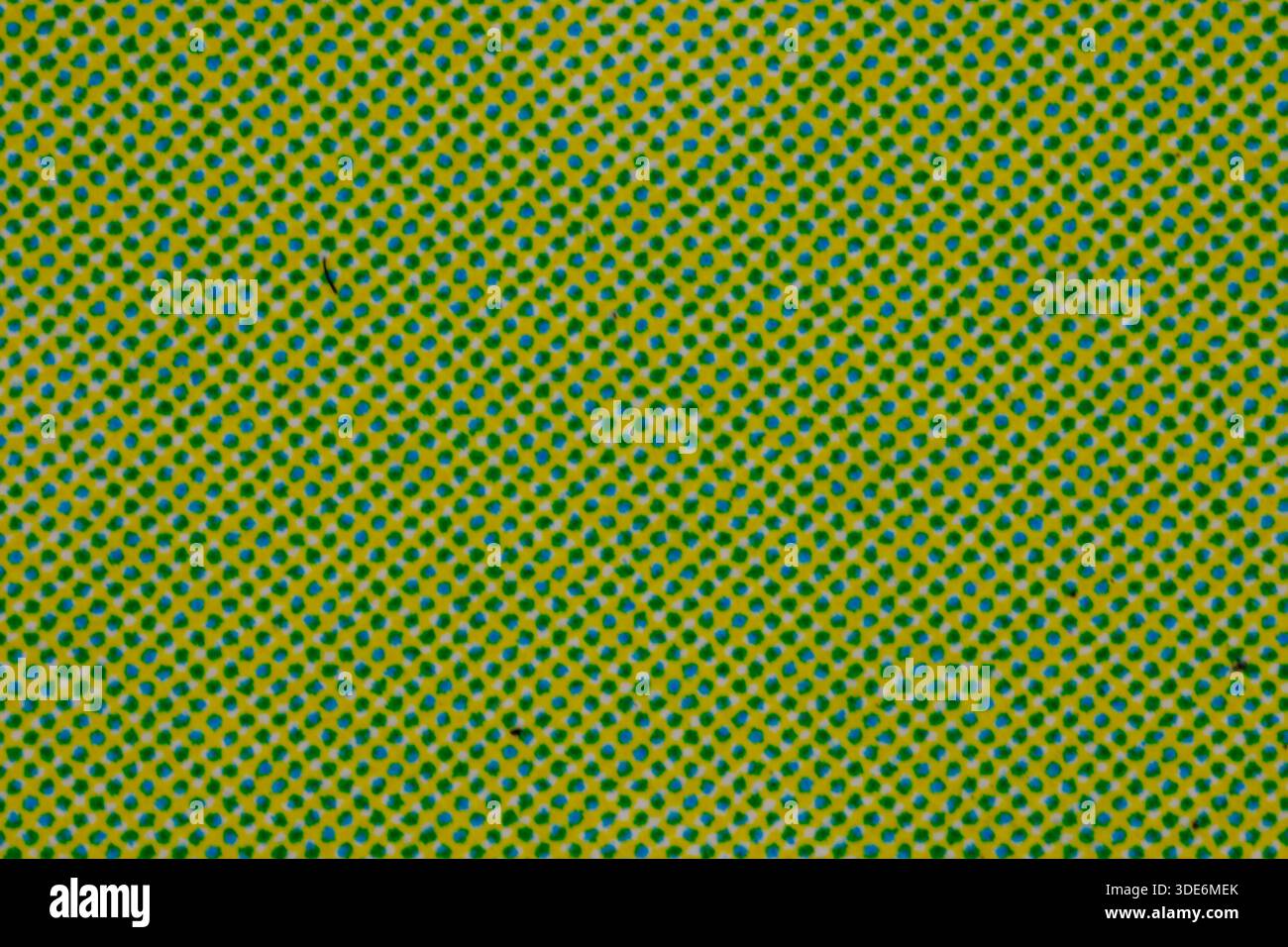 Sequenza di mezzitoni che mostra punti di inchiostro ciano e giallo che creano il verde Foto Stock