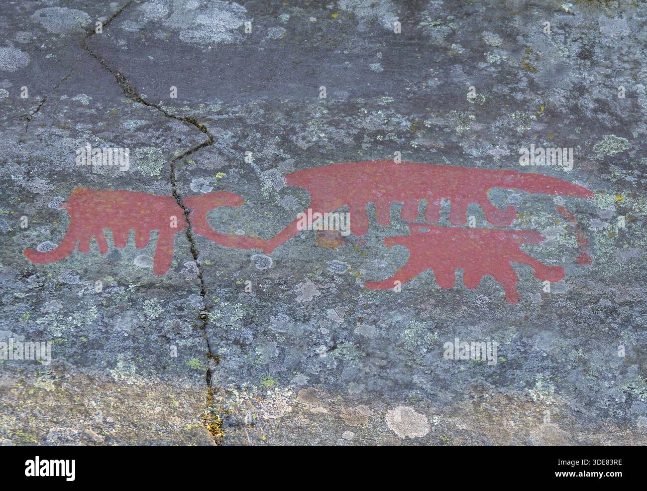 Petroglifi svedese in Norrkoping Foto Stock