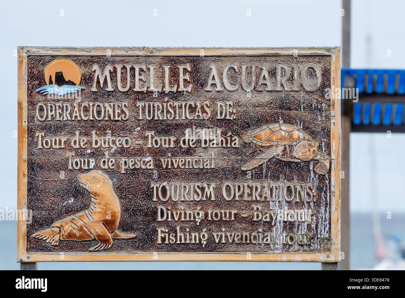 Muelle acuario, Acquario, molo in spagnolo, segnaletica, operazioni turistiche, incisioni di ​​lion e tartarughe marine, Puerto Baquerizo Moreno, Isola di San Cristóbal, G. Foto Stock