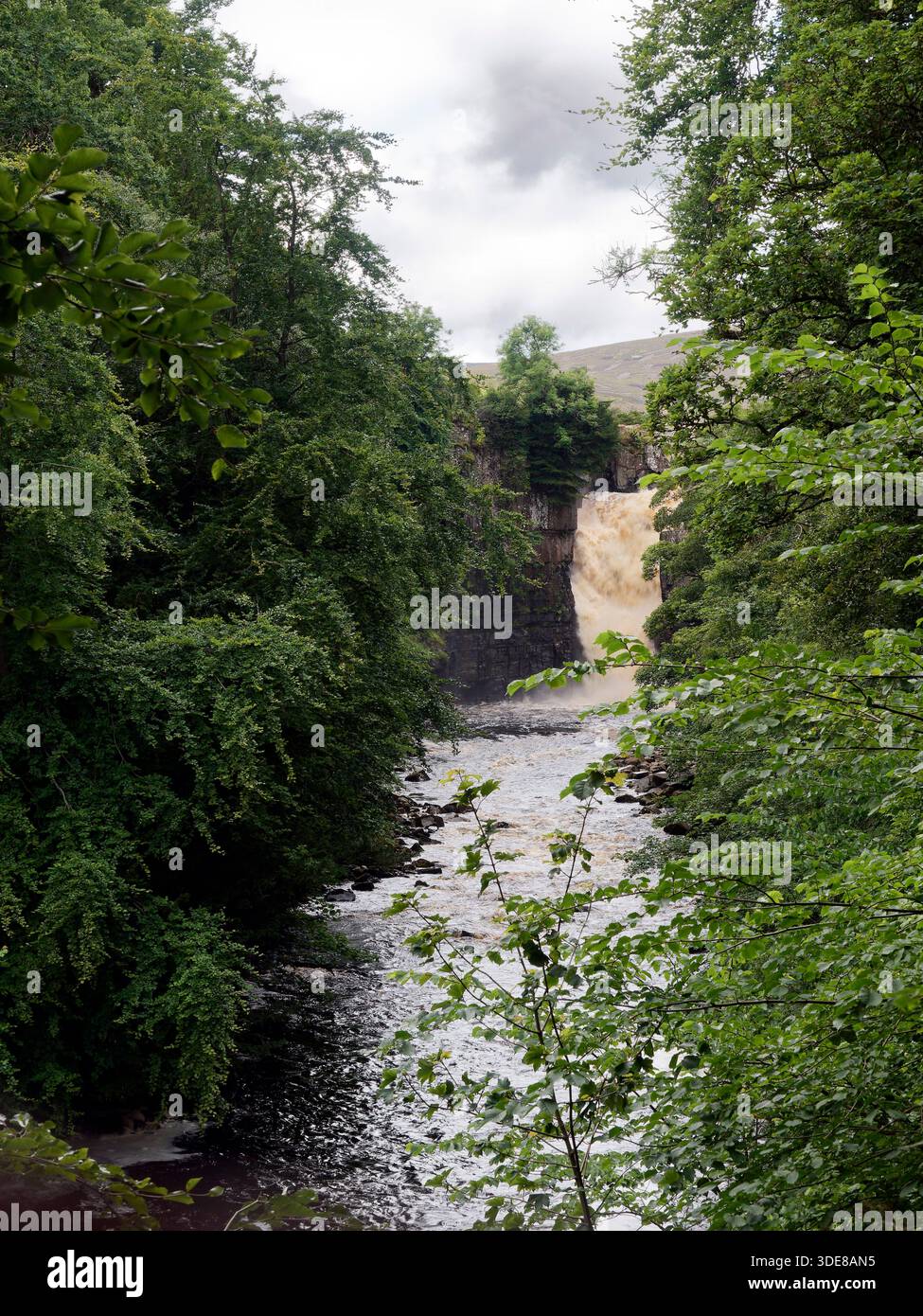 High Force, una splendida cascata sul fiume Tees in Inghilterra, la sua altezza di 70 piedi (21 metri) e il suo potente flusso sono spettacolari. Foto Stock