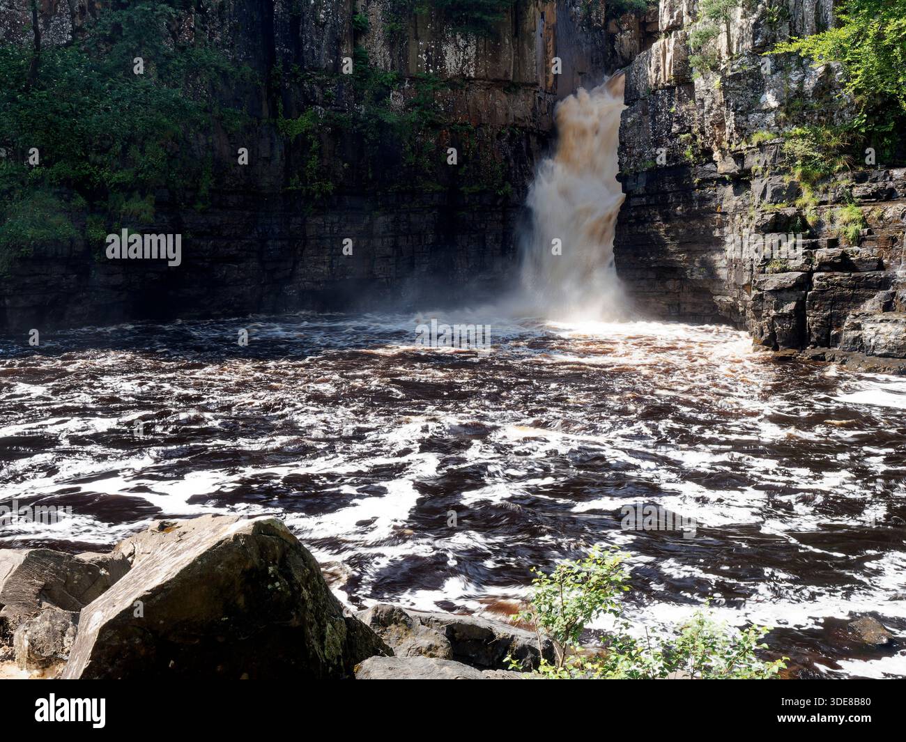 High Force, una splendida cascata sul fiume Tees in Inghilterra, la sua altezza di 70 piedi (21 metri) e il suo potente flusso sono spettacolari. Foto Stock