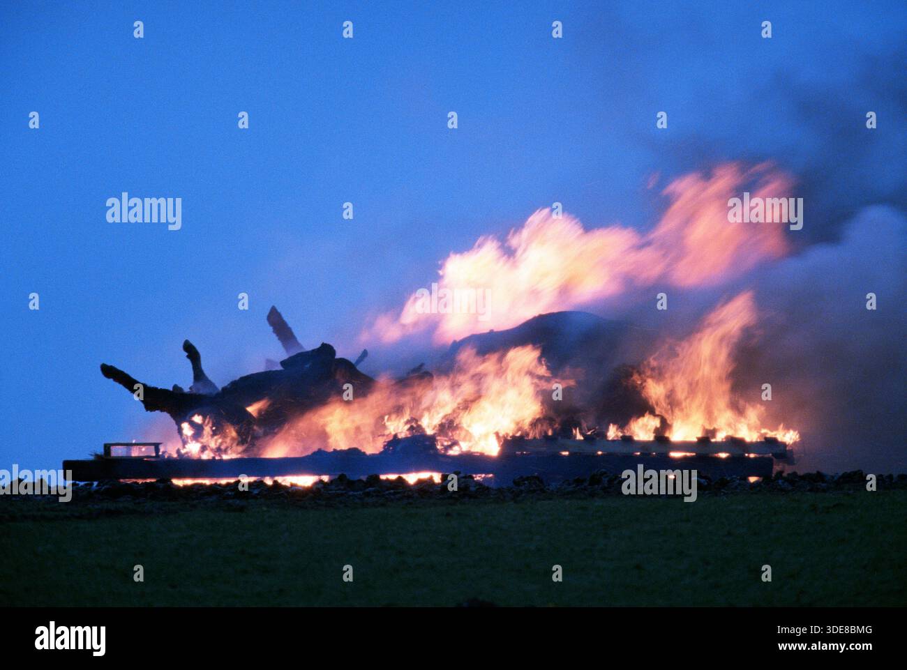 Crisi dell'afta epizootica nell'agricoltura del Regno Unito 2001. Mostra carcasse in fiamme nelle pire. 2000 casi in tutto il Regno Unito Foto Stock