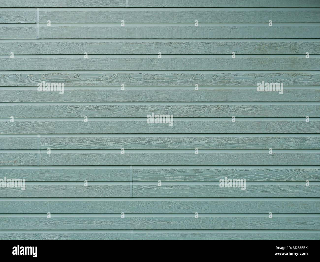 Facciata orizzontale in legno grigio chiaro-verde, grana visibile, pannelli distanziati uniformemente, opaca e ben tenuta. Copyspace. Foto Stock