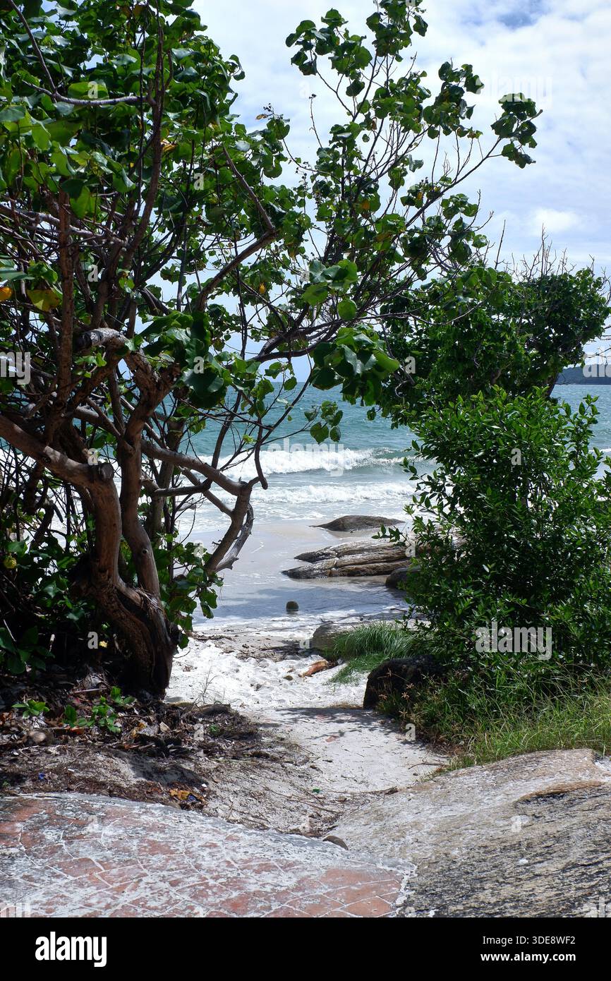 Le radici e i rami bassi costeggiano la spiaggia mentre le onde si infrangono sulla costa rocciosa di Koh Samet in una giornata di vento. Foto Stock