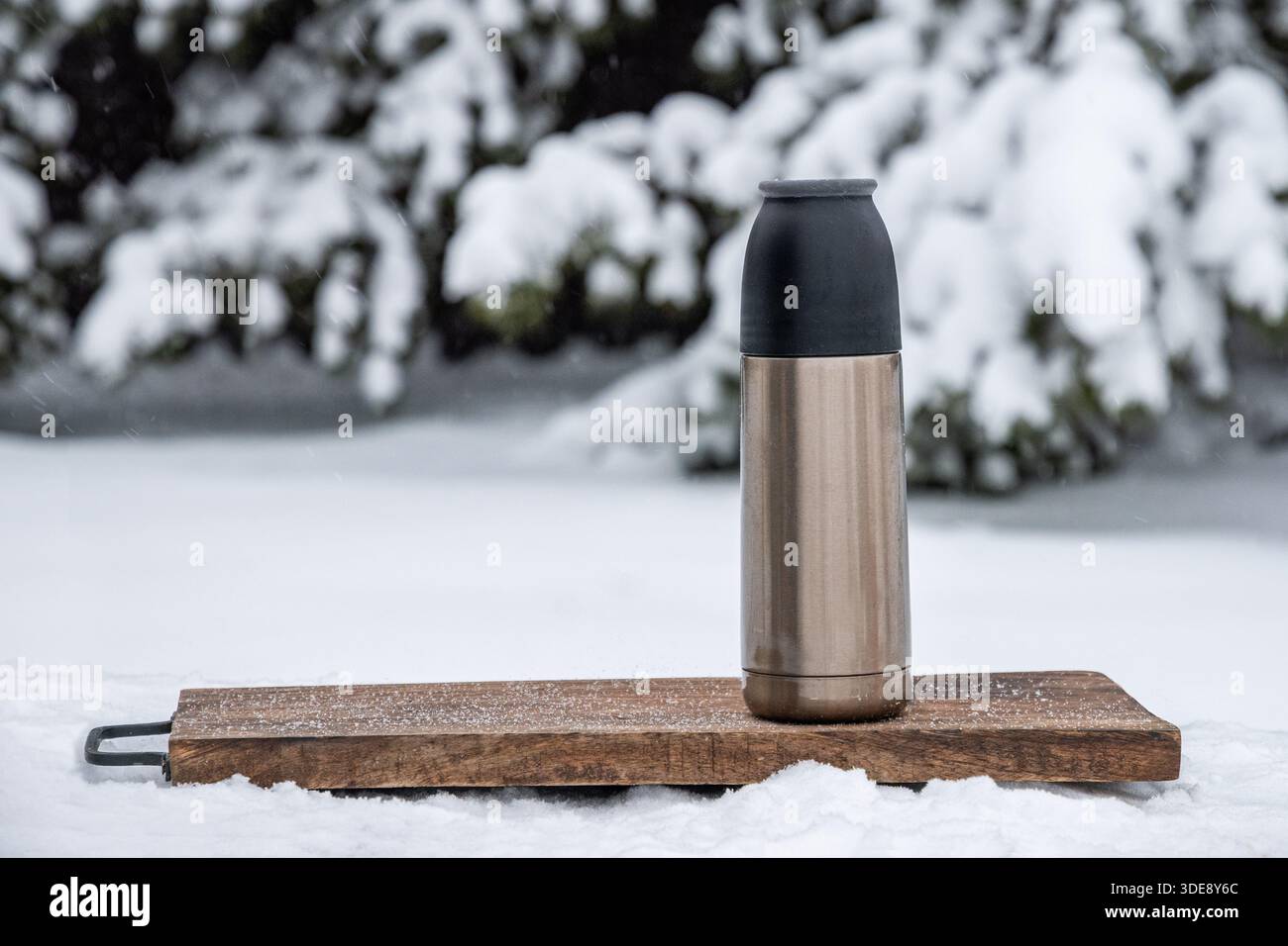 Termos in metallo in piedi su una tavola da servizio in legno in un paesaggio innevato all'aperto. Concetto di bevanda calda, viaggio, picnic invernale e calore all'aperto. Foto Stock