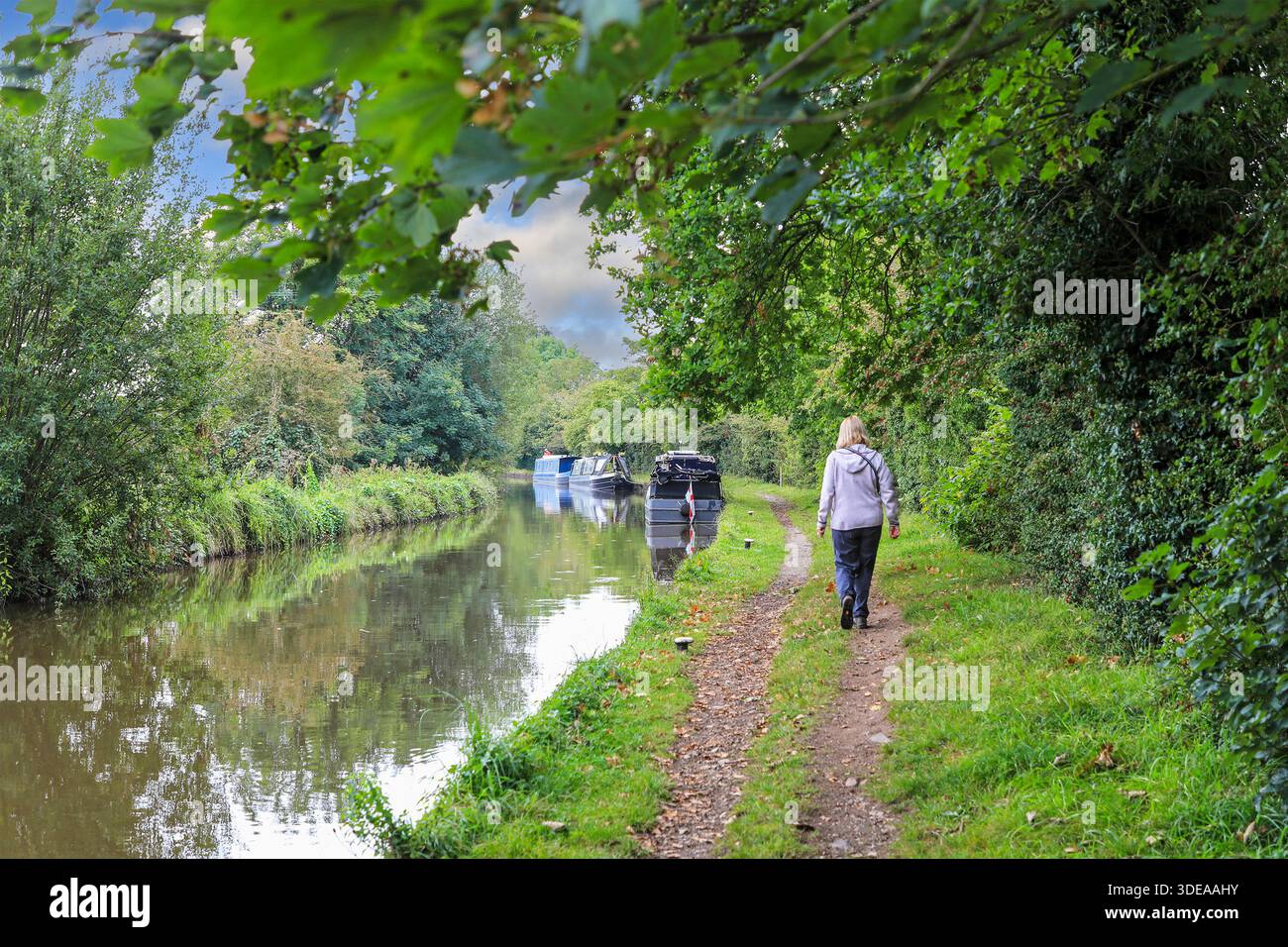 Barche o chiatte sul ramo del canale Llangollen dello Shropshire Union Canal, Shropshire, Inghilterra, Regno Unito Foto Stock