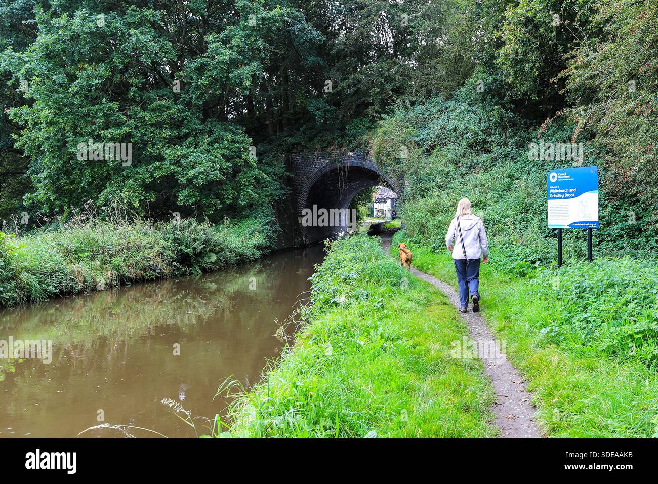 Il ramo del canale Llangollen dello Shropshire Union Canal a Grindley Brook, Shropshire, Inghilterra, Regno Unito Foto Stock