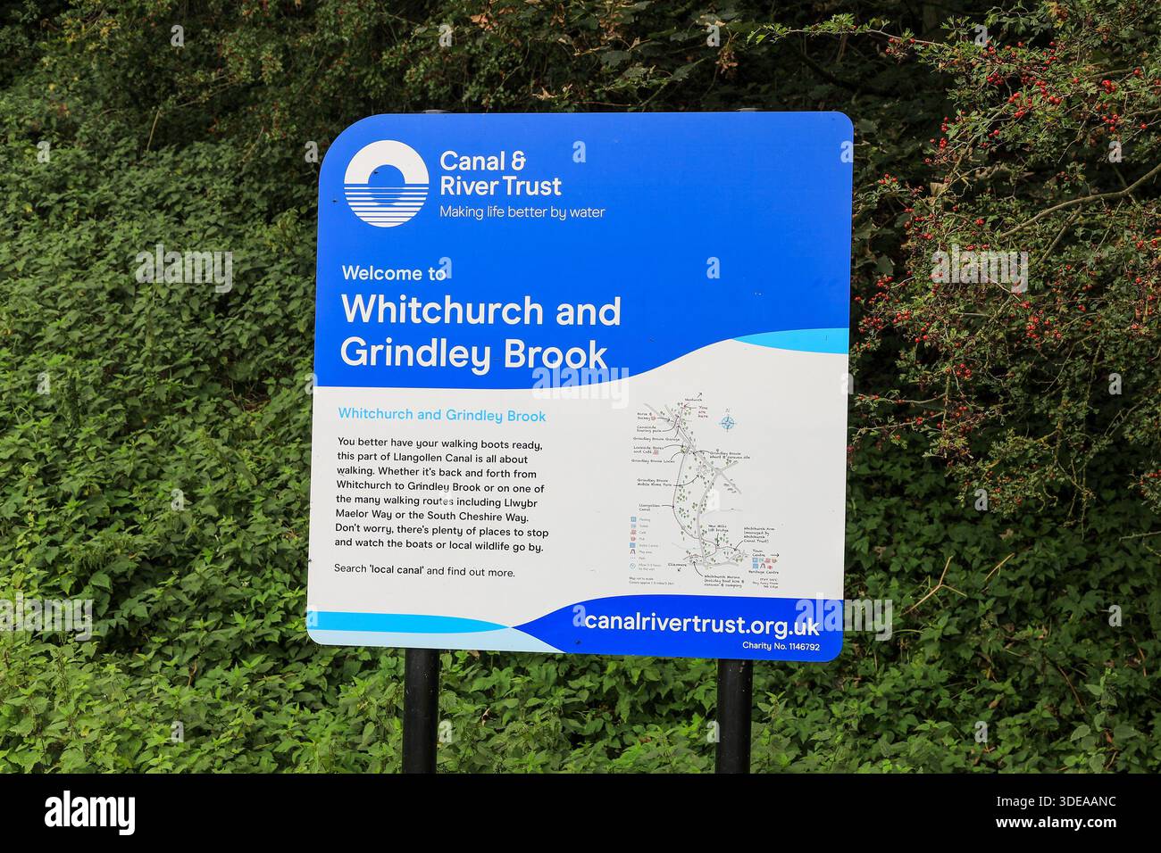 Il canale Llangollen a Grindley Brook, Shropshire, Inghilterra, Foto Stock