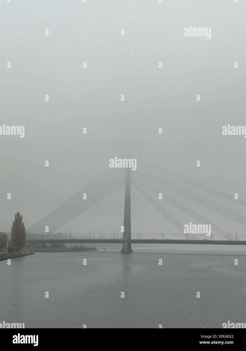 Ponte Vanšu strallato dalla nebbia con pilone centrale e cavi di supporto diagonali sul tranquillo fiume Daugava a riga - Immagine stock catturata con smartphone