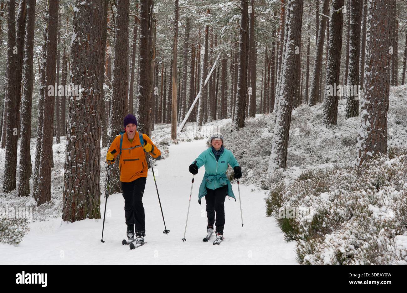 Gli amanti dello sci di fondo apprezzano la splendida pista innevata nella foresta di Rothiemurchus Estate nel Cairngorms National Park, nelle Highlands scozzesi, in Scozia Foto Stock