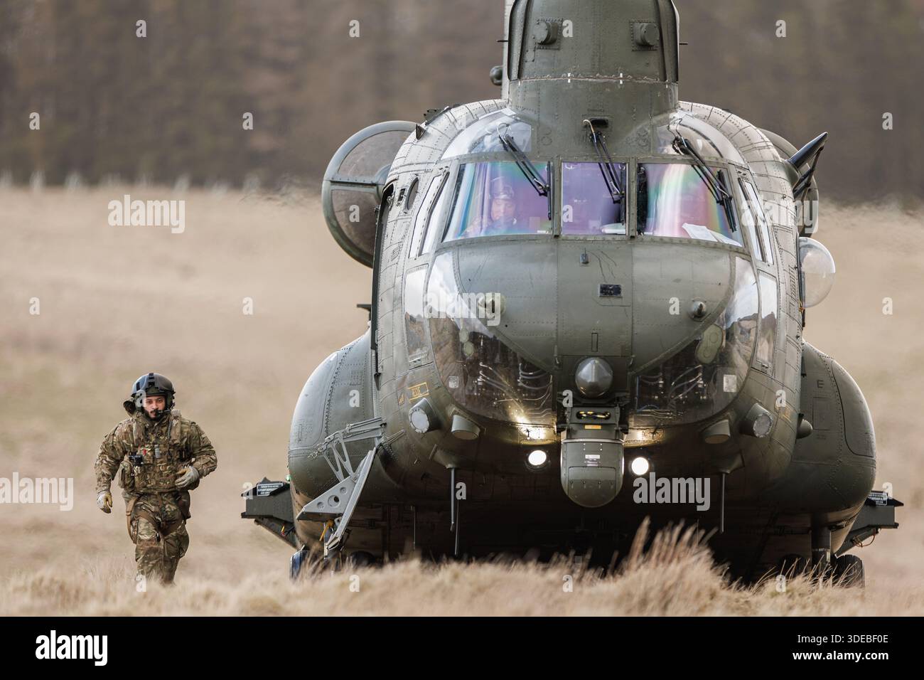 RAF CH-47 Chinooks sugli esercizi di addestramento nel Galles centrale Foto Stock