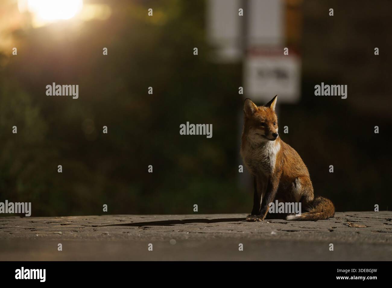 La città volge attraverso la primavera Foto Stock