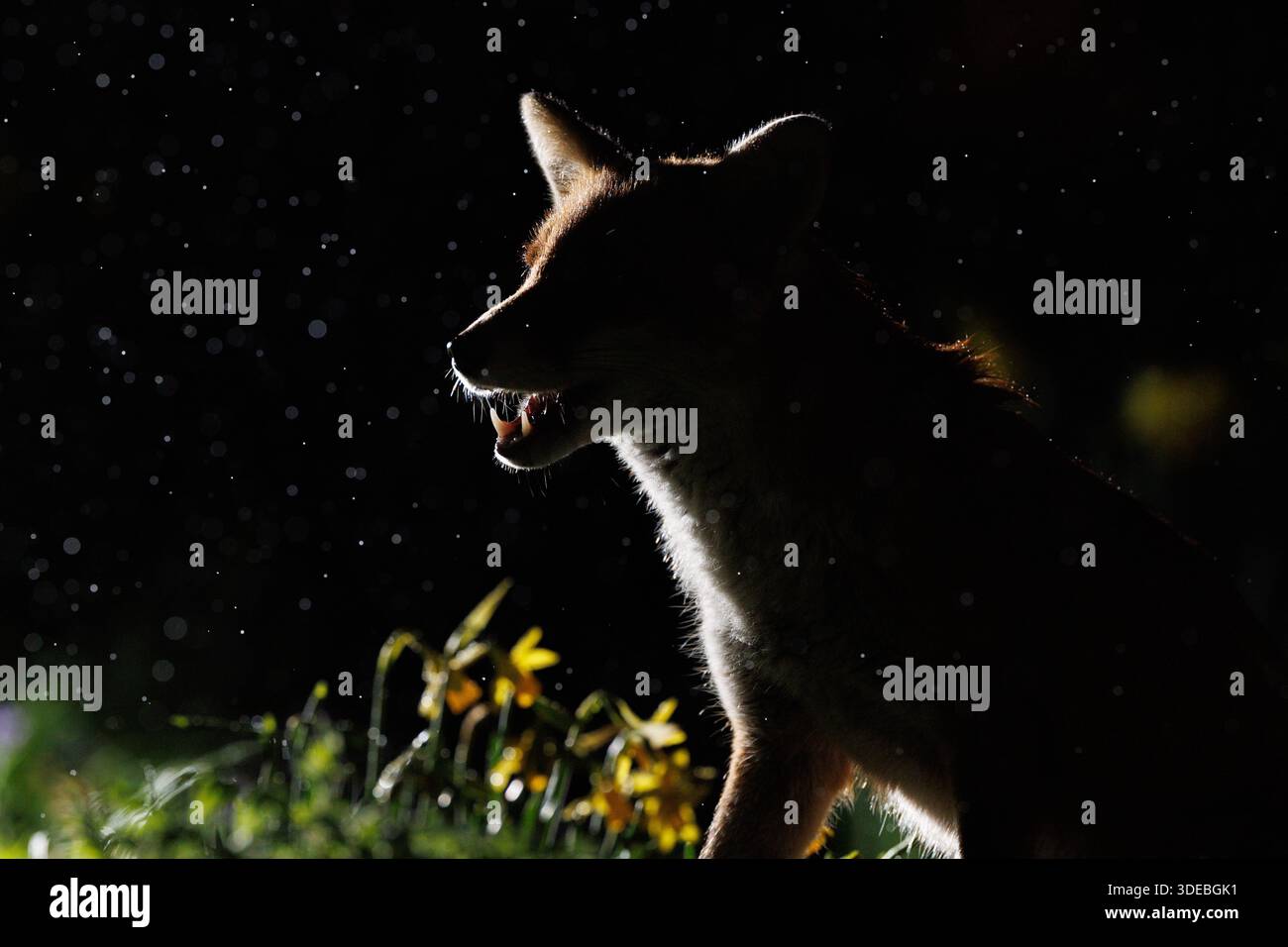 La città volge attraverso la primavera Foto Stock