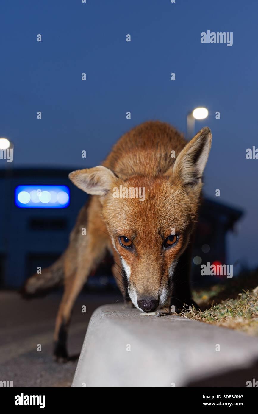 La città volge attraverso la primavera Foto Stock