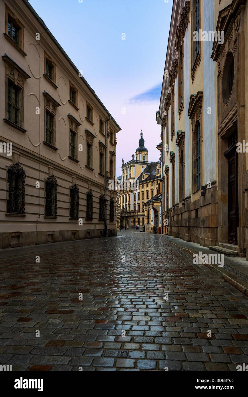 Vista dell'edificio principale del Museo dell'Università di Wrocław in Polonia. Foto Stock