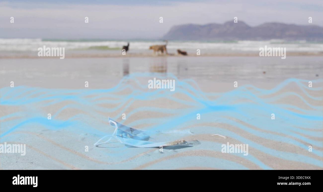 Maschera chirurgica azzurra sdraiata nella sabbia ondulata bagnata sulla spiaggia, mostrando i cani lontani Foto Stock