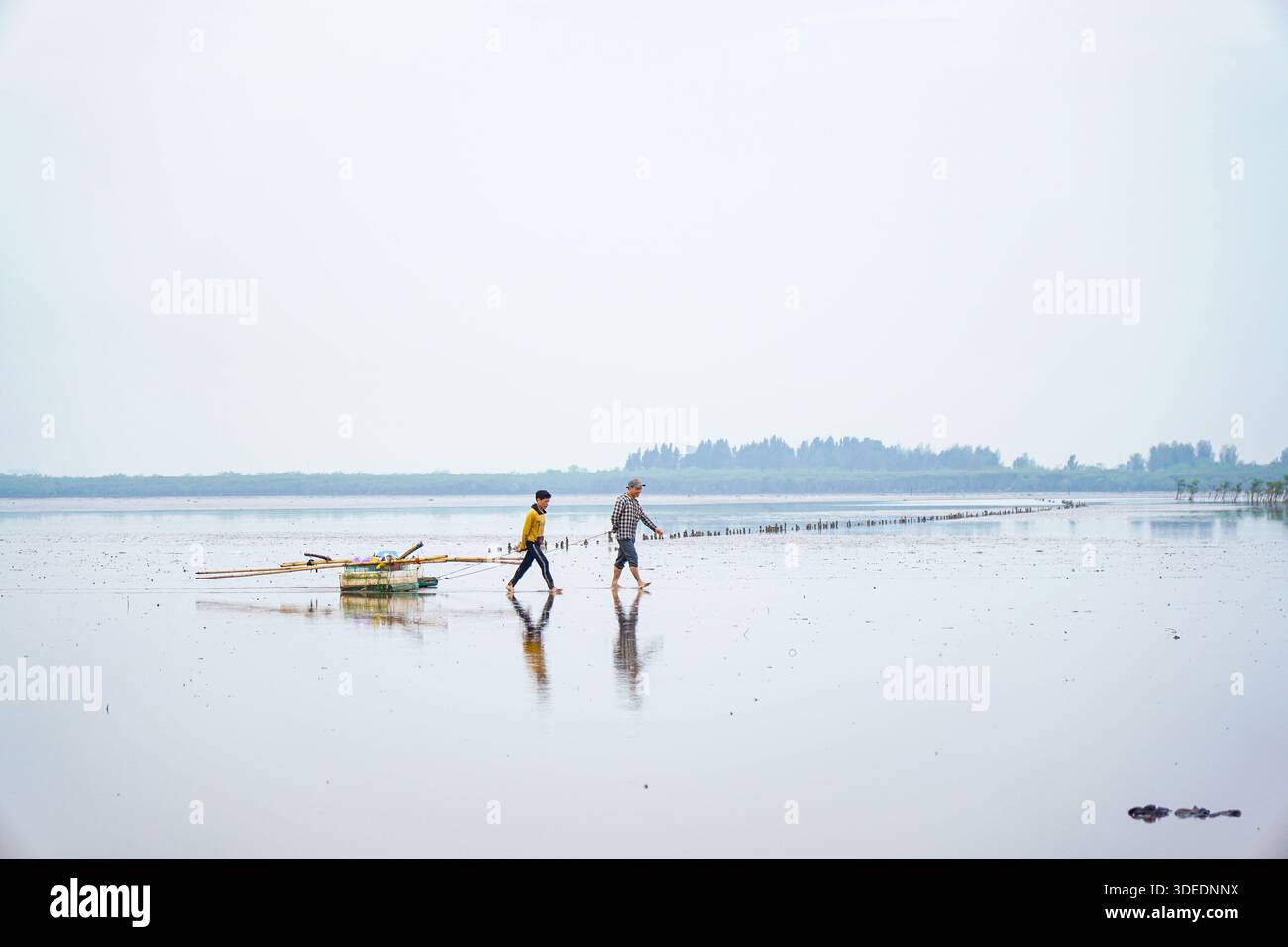 Pescatori che tirano attrezzature attraverso acque costiere poco profonde, raffigurando la professione di pesca tradizionale e la vita quotidiana in mare. Foto Stock