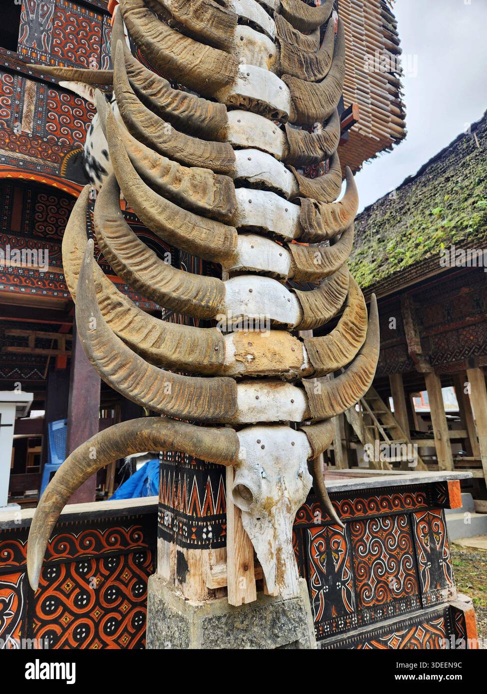 Teschio di bufalo con decorazione a corno su casa tradizionale tongkonan a Rantepao Toraja Foto Stock