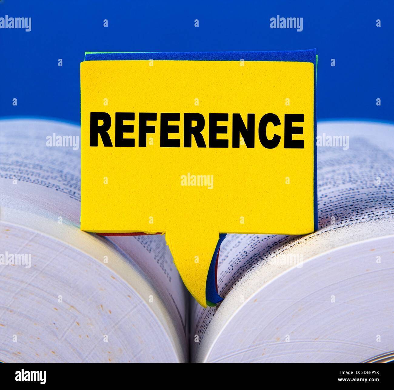 Bolla vocale con la parola di riferimento inserita sulle pagine del libro aperte Foto Stock