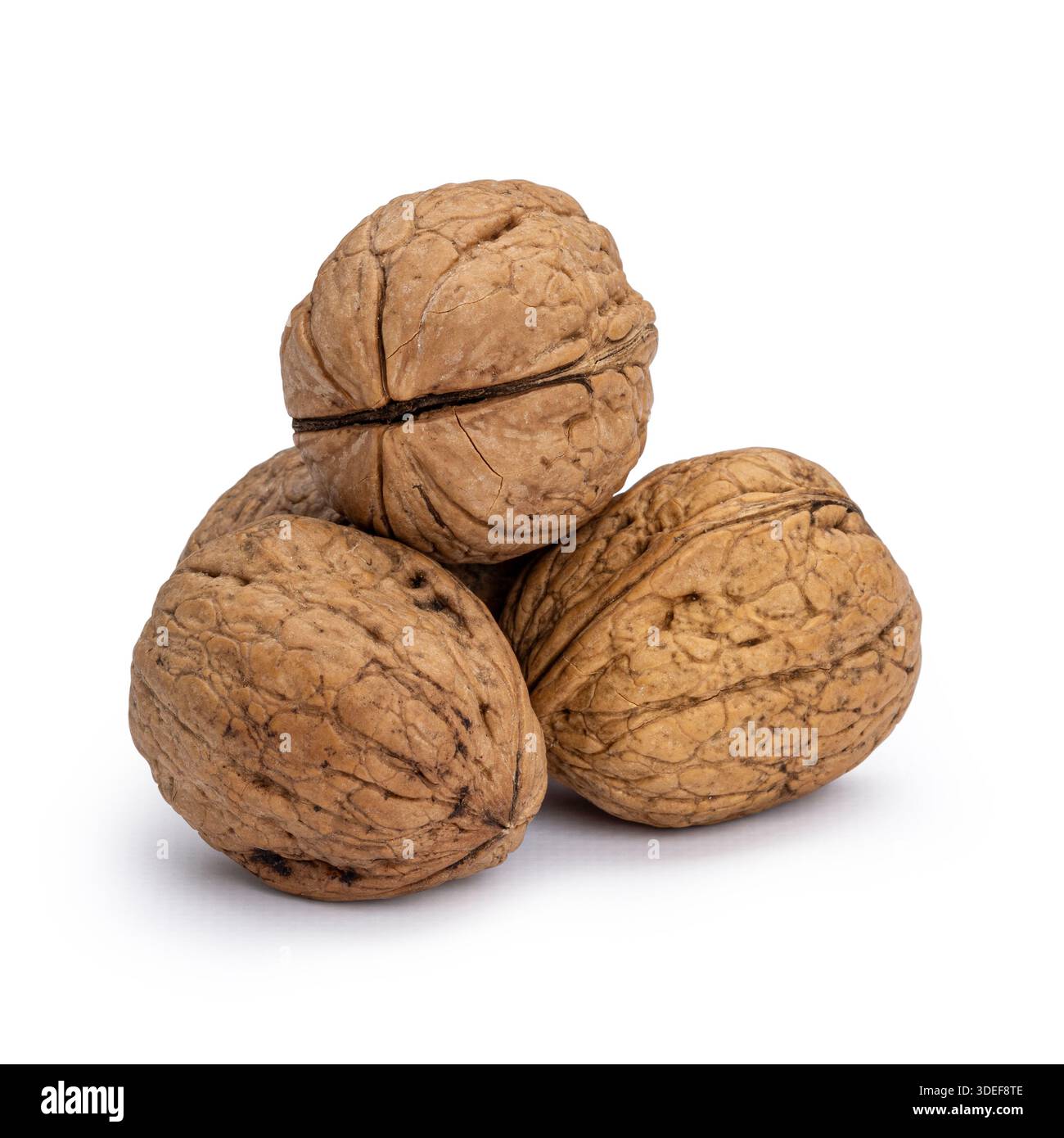 Le noci nelle conchiglie sono impilate insieme, mostrando texture naturali ed esterni duri. Isolato su sfondo bianco. Foto Stock