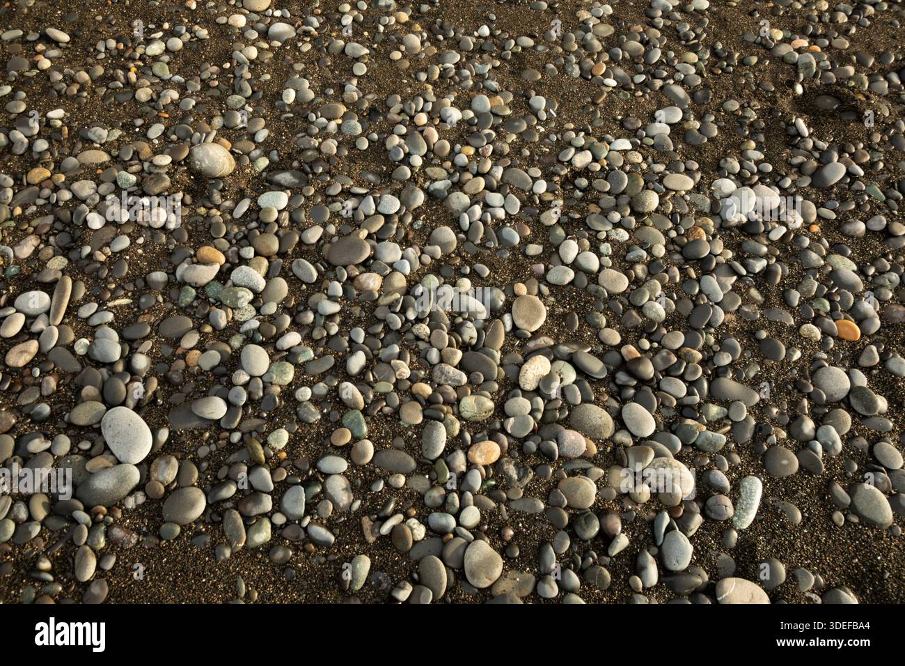 WA28830-00...WASHINGTON - rocce levigate dalla sabbia e dalle maree su una spiaggia sulla costa del Pacifico, l'Olympic National Park. Foto Stock