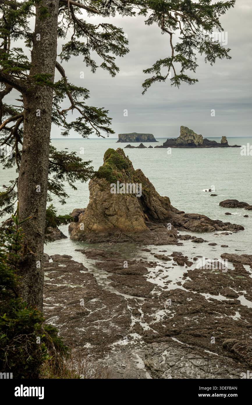 WA28834-00...WASHINGTON - Vista dalla cima del Hole-in-the-Wall, affacciata sull'Oceano Pacifico, Parco Nazionale Olimpico. Foto Stock