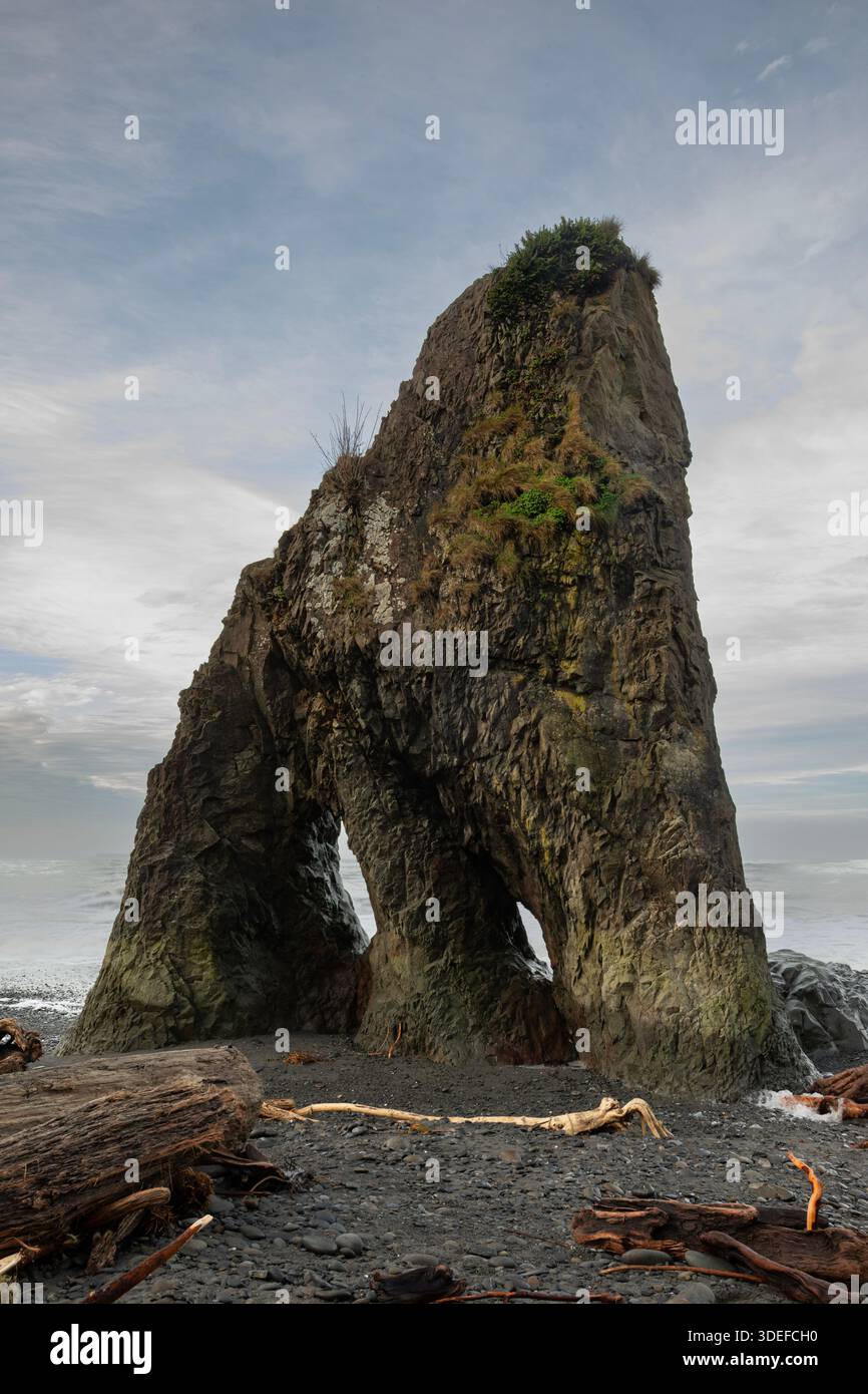 WA28996-00...WASHINGTON - Seastack con buche su Ruby Beach, sulle rive dell'Oceano Pacifico; Olympic National Park. Foto Stock
