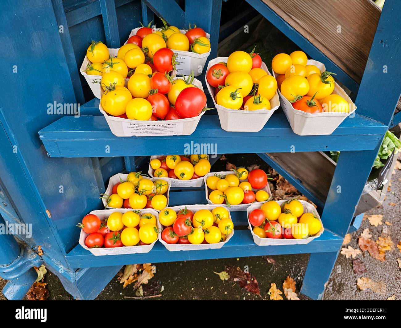 Pomodori rossi e gialli appena raccolti in vendita - Immagine stock catturata con smartphone