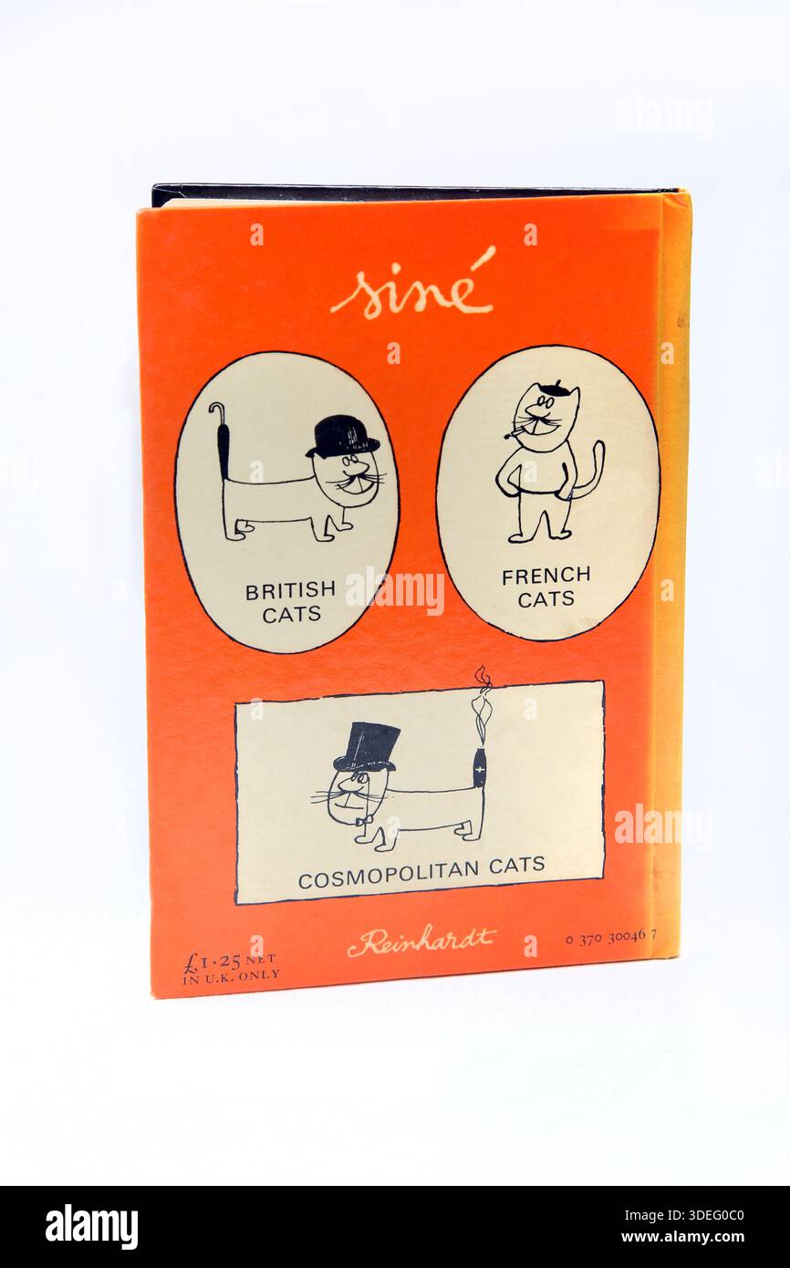Vintage Hardback Book Scatty Cat by Sine Foto Stock