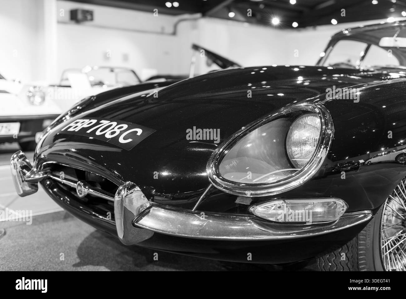 Sparkford.Somerset.Regno Unito.12 gennaio 2025.Una serie 1 e Type Jaguar del 1965 è in mostra all'Haynes Motor Museum di Somerset Foto Stock