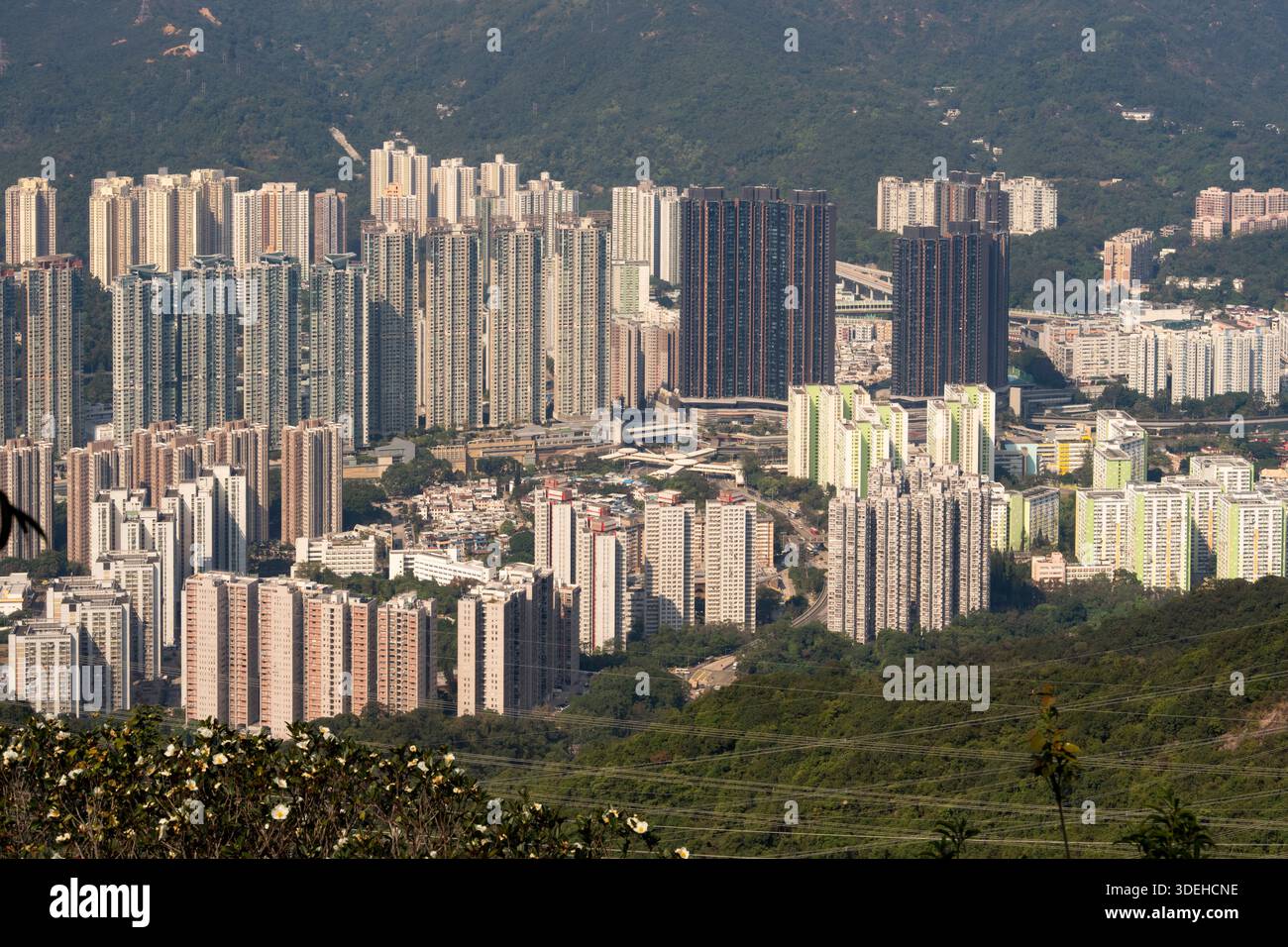 Edifici residenziali a Hong Kong, accoccolati su lussureggianti colline verdi. Foto Stock