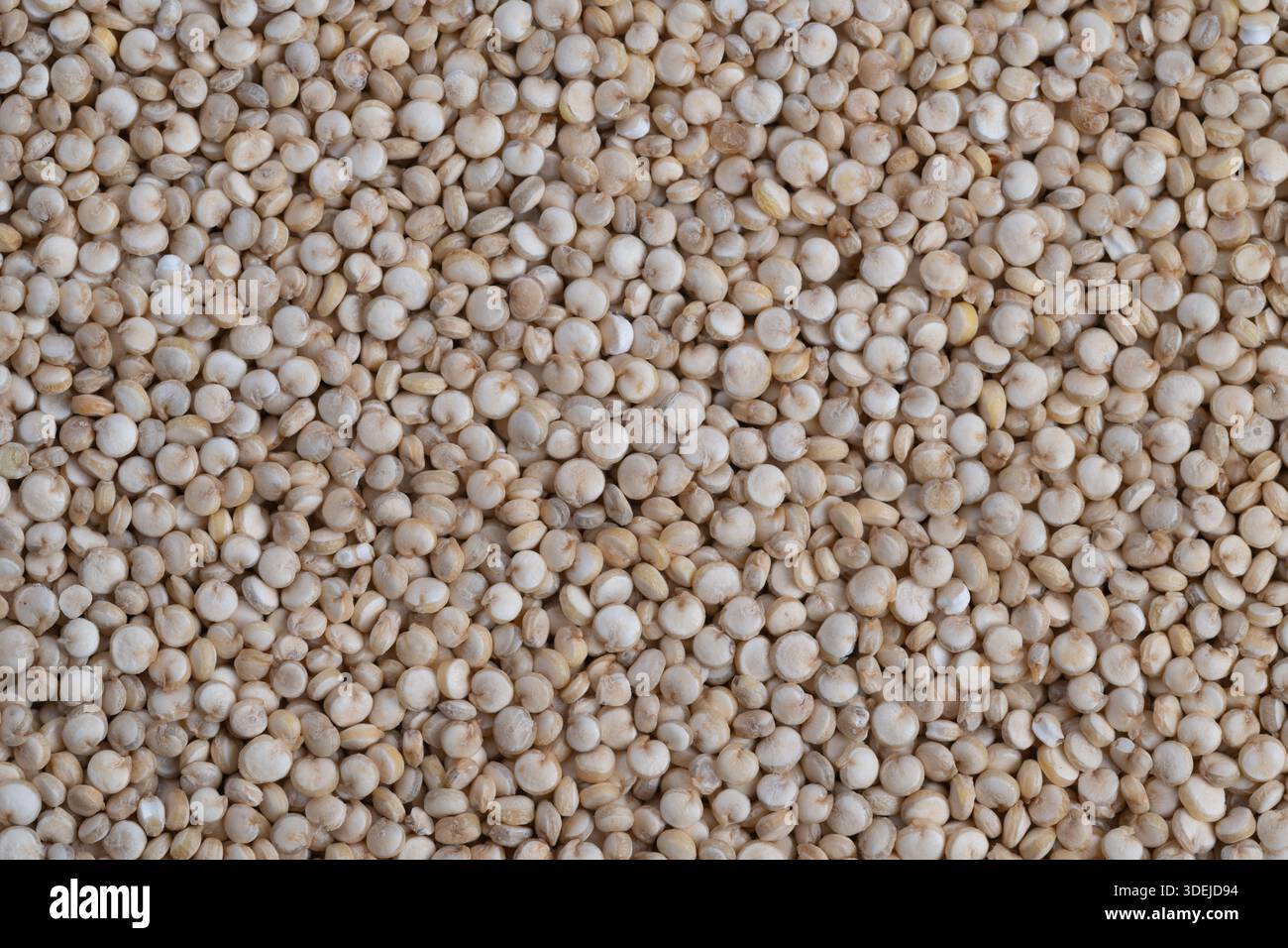 semi di quinoa closeup che enfatizzano il contenuto di proteine e fibre, composizione salutare per nutrizionista, pianificatore dietetico e concetti di confezionamento benessere. Foto Stock
