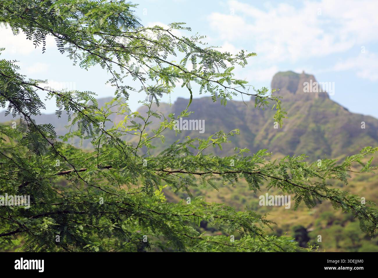Picos o montagne sull'isola di Santiago, Cabo Verde, Isole Capo Verde, Cap Vert Foto Stock