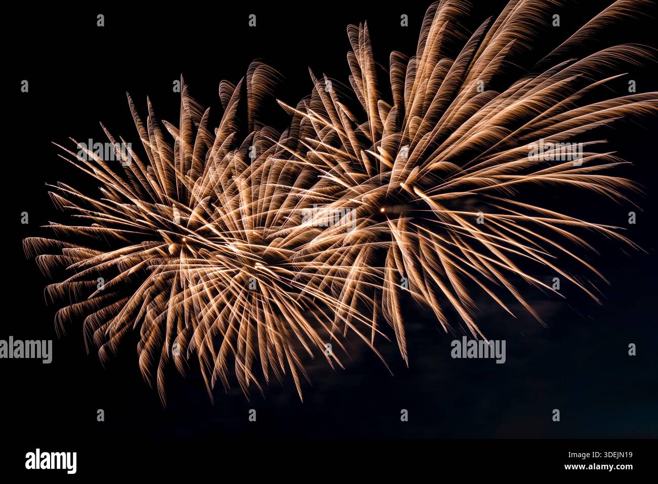 Fuochi d'artificio nel cielo durante lo spettacolo dei giochi Pirro a Dresda. Foto Stock