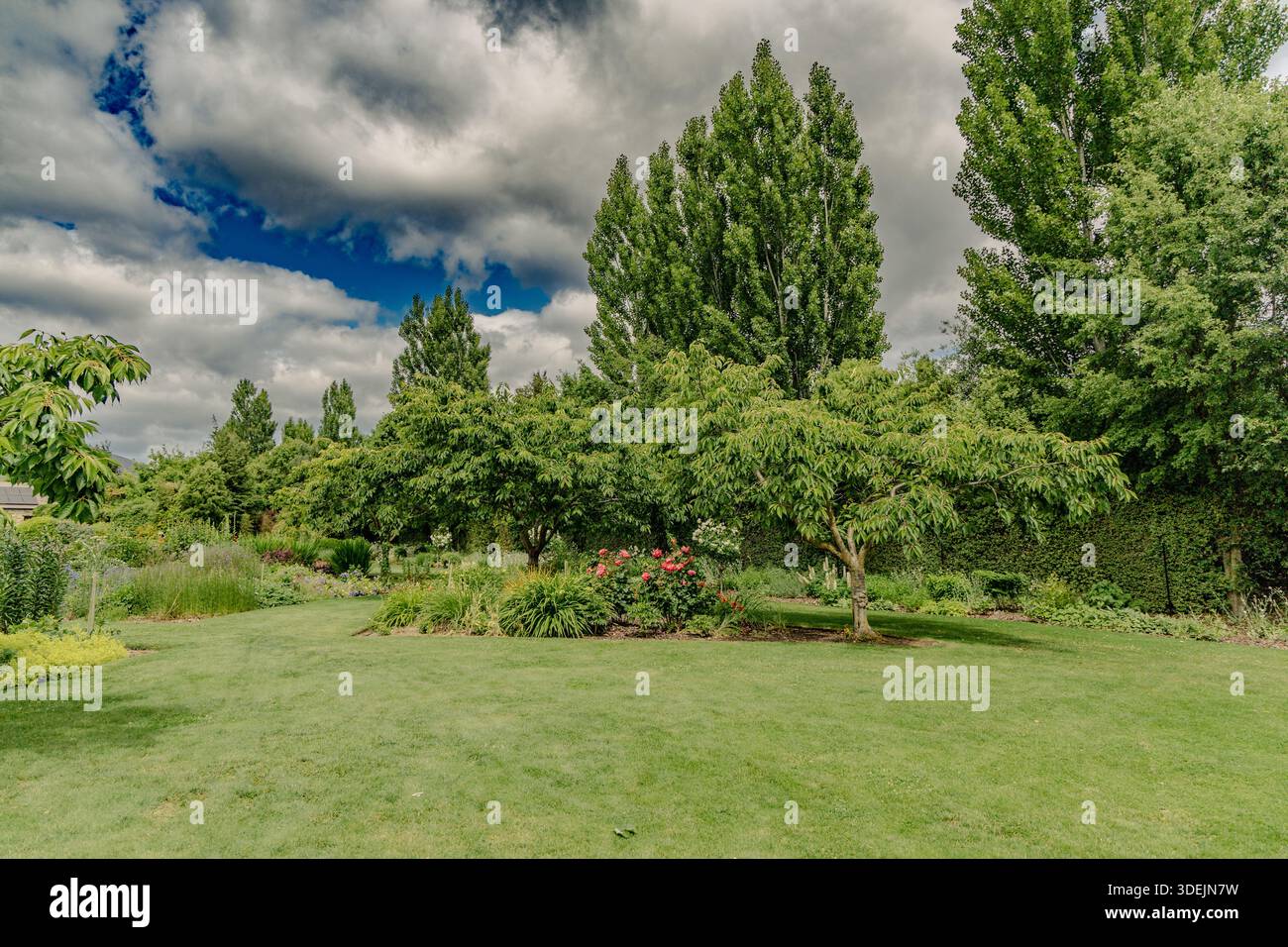 Lussureggianti alberi da giardino sotto il suggestivo cielo nuvoloso Foto Stock
