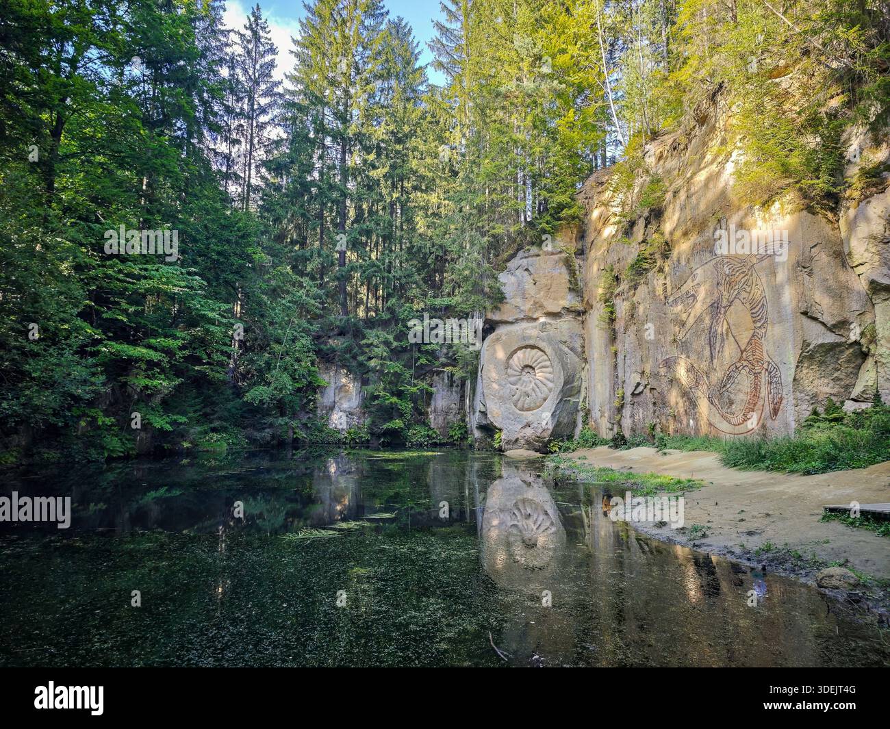 Rilievi rupestri di creature ammoniacali e preistoriche scolpite nelle scogliere di arenaria da un lago forestale. Foto Stock