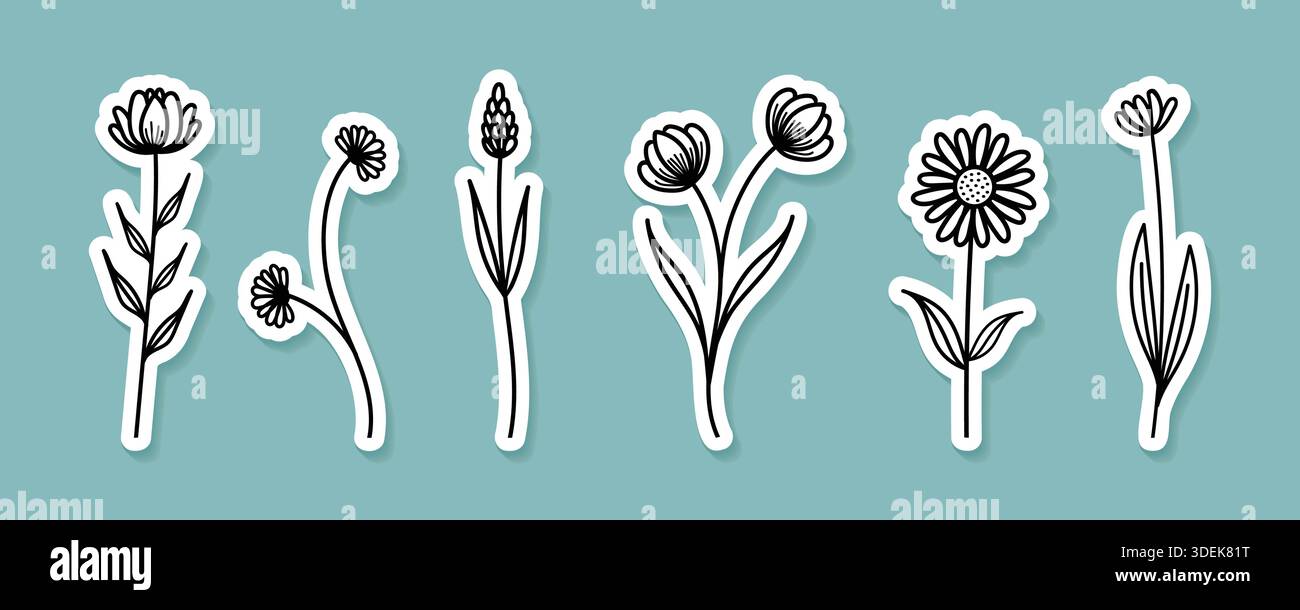 Confezione di adesivi botanici dal design minimalista con disegni a linee di fiori selvatici disegnati a mano e bordo bianco su sfondo verde acqua. Illustrazione Vettoriale