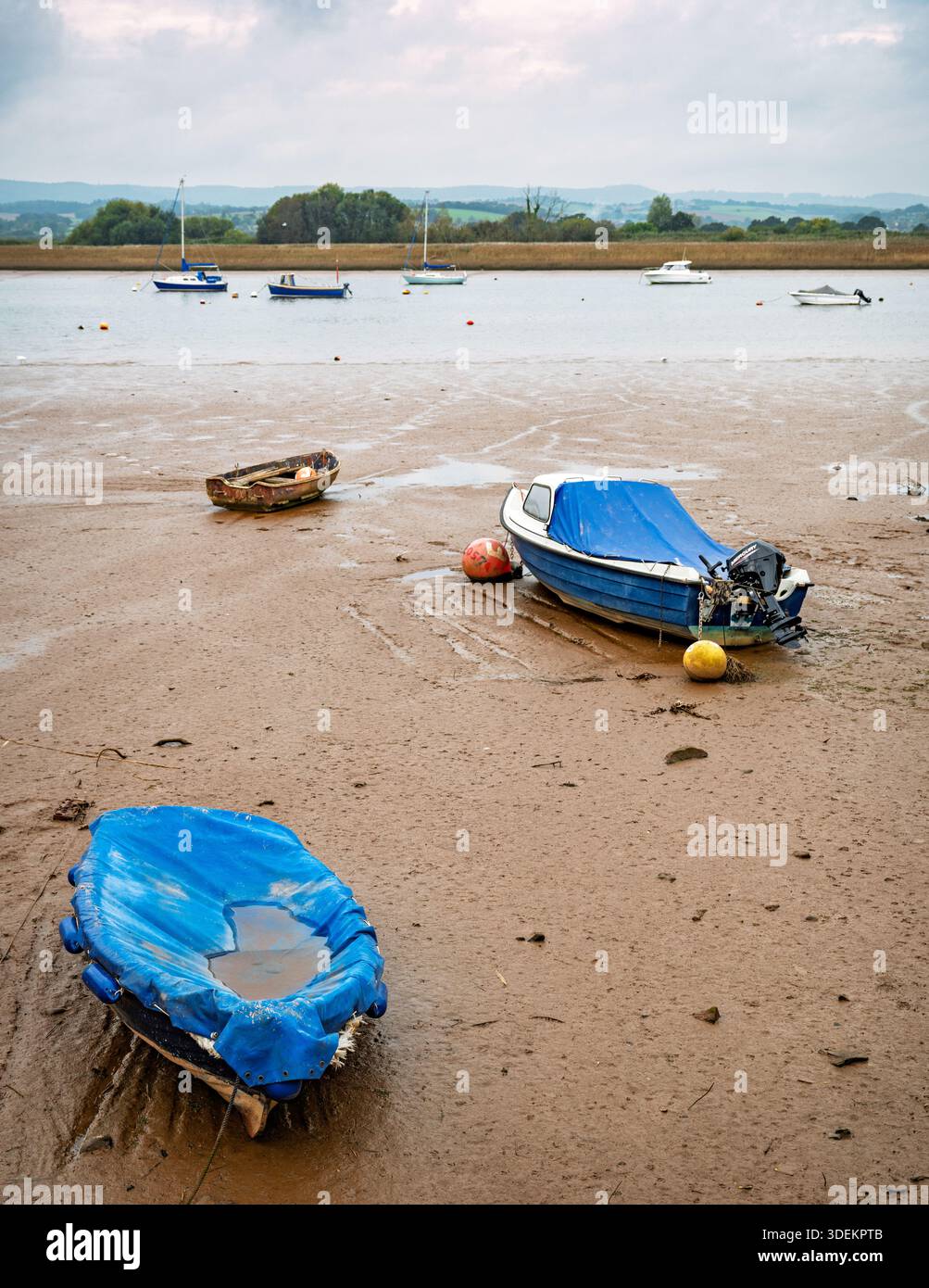 Le barche sono salite con la bassa marea sulle distese di fango dell'estuario del fiume exe a Topsham, Devon, Inghilterra, Regno Unito. Foto Stock