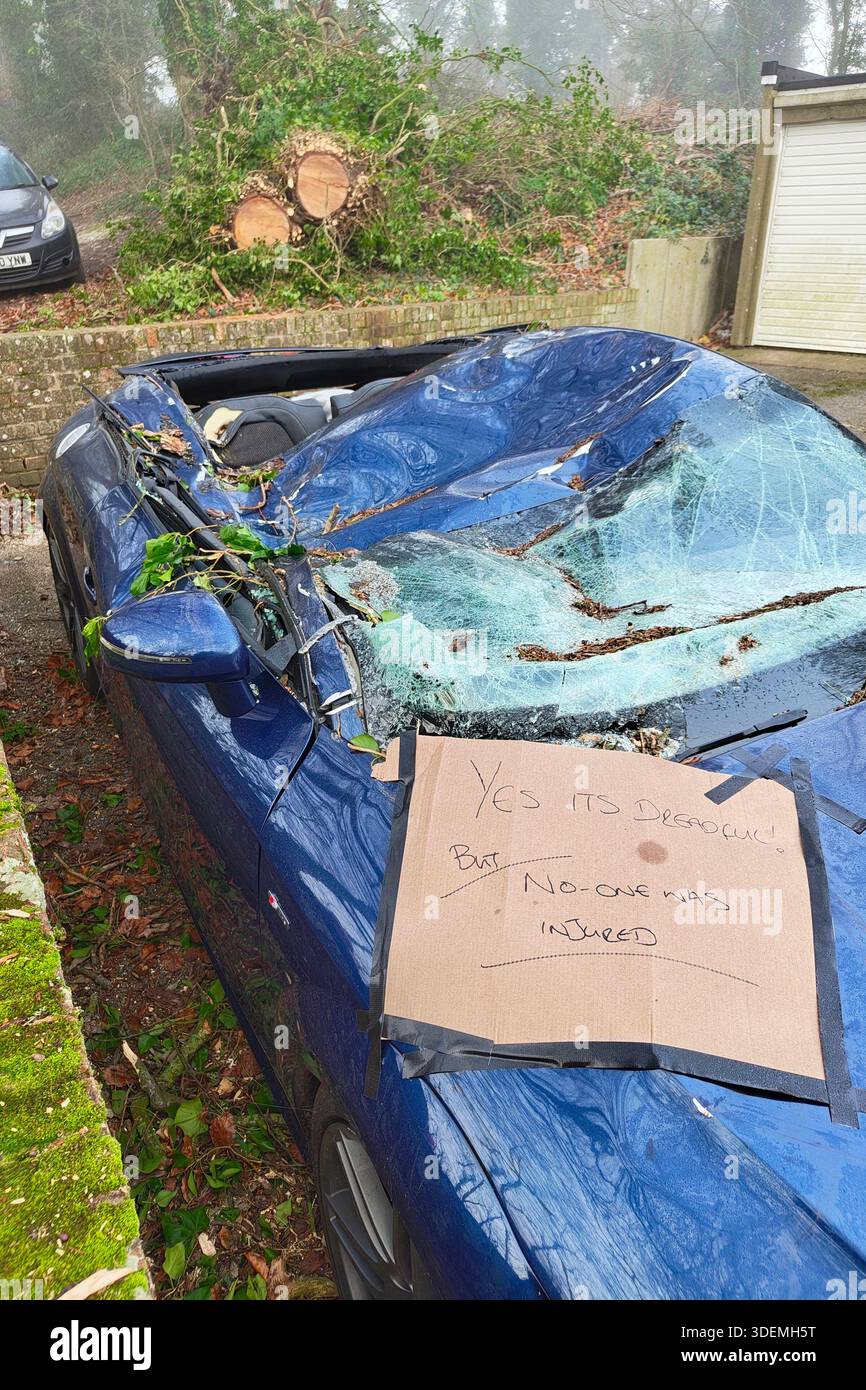 Una nota scritta su un'auto che è stata schiacciata da un albero caduto a seguito di una notte tempestosa alla fine di dicembre 2025. Nessuna ferita. Wilton Regno Unito. Foto Stock