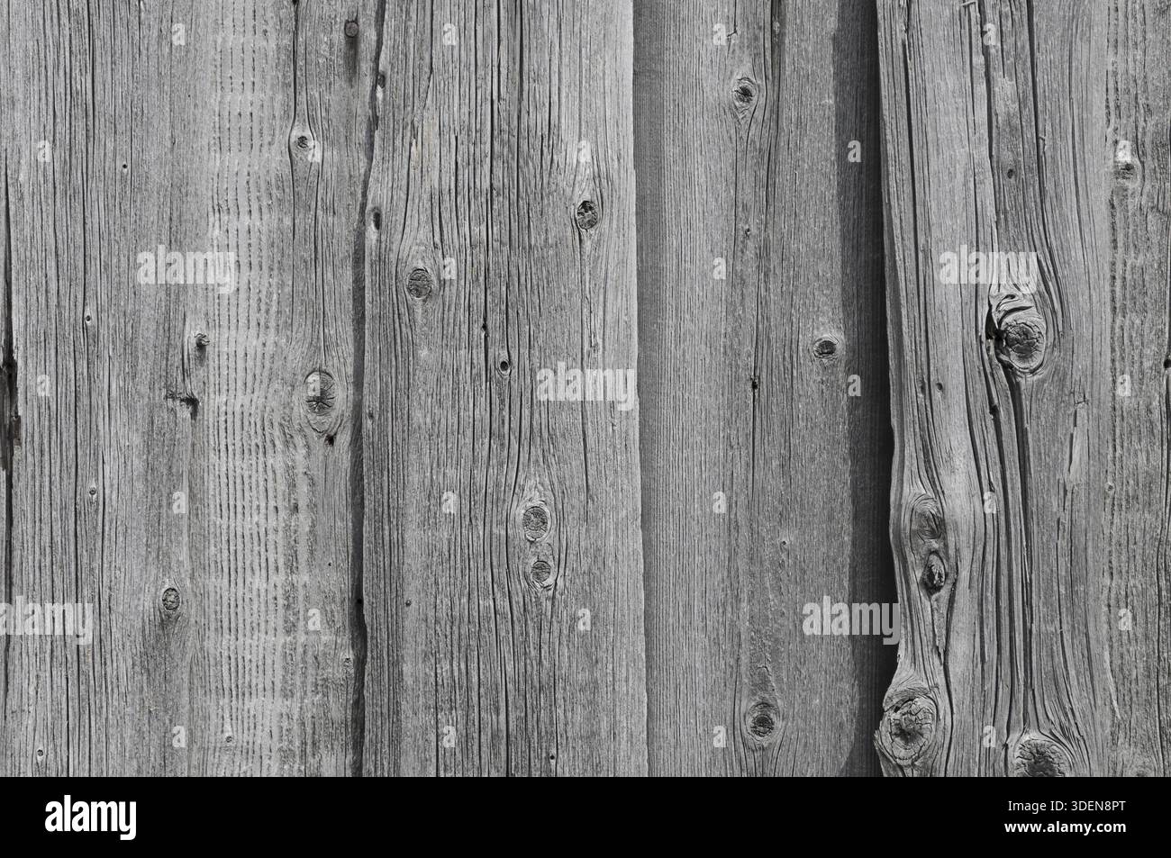 Vecchio sfondo in legno grigio con pannelli verticali Foto Stock