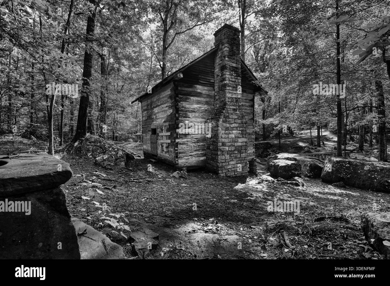 Una vecchia cabina si trova ancora in una foresta del Mississippi e indica un periodo più semplice. Foto Stock