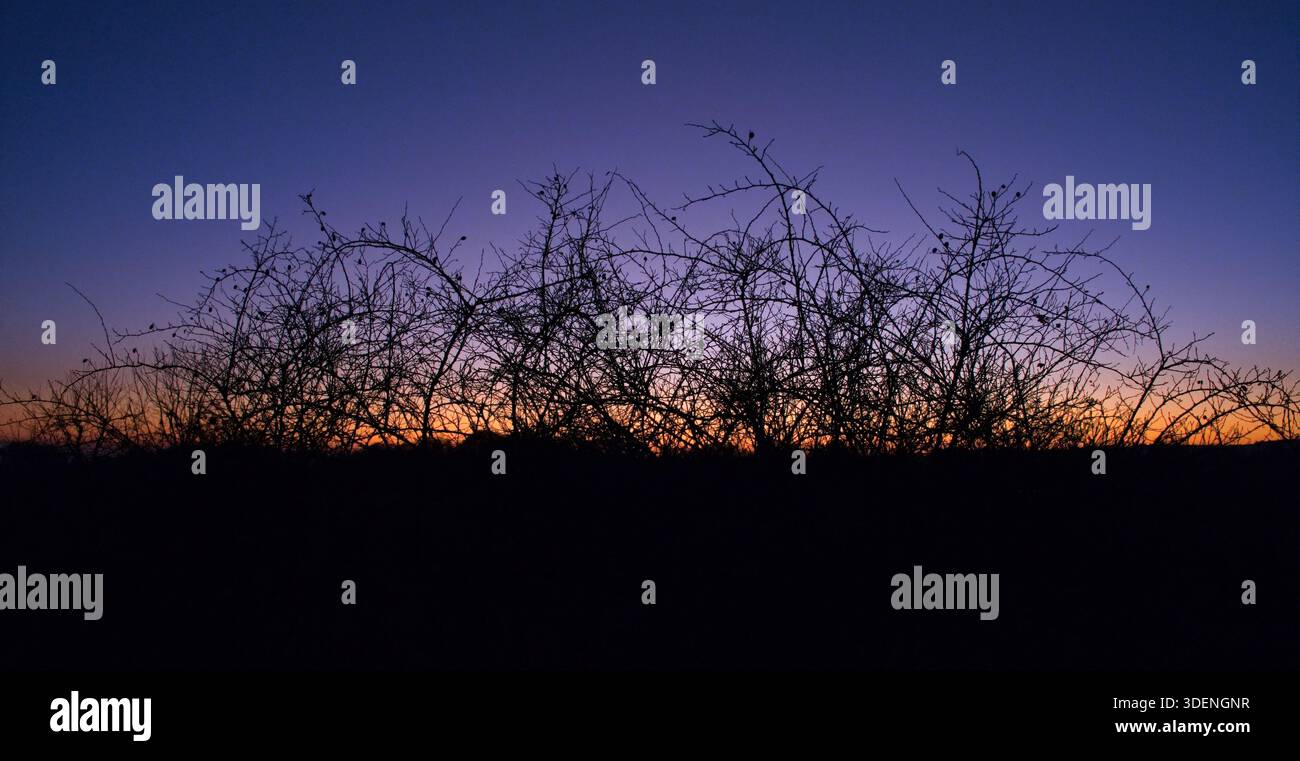 Colori del tramonto Foto Stock
